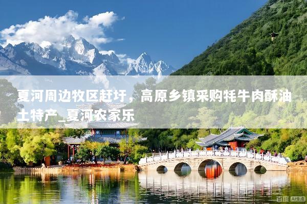 夏河周边牧区赶圩，高原乡镇采购牦牛肉酥油土特产_夏河农家乐