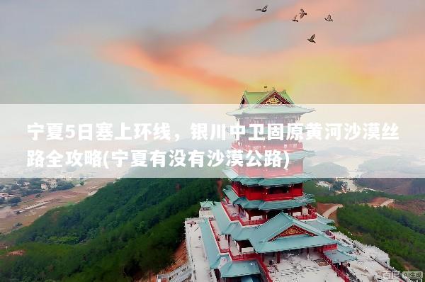 宁夏5日塞上环线，银川中卫固原黄河沙漠丝路全攻略(宁夏有没有沙漠公路)