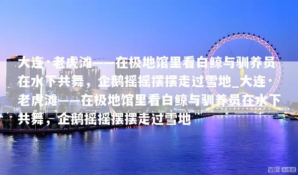 大连·老虎滩——在极地馆里看白鲸与驯养员在水下共舞，企鹅摇摇摆摆走过雪地_大连·老虎滩——在极地馆里看白鲸与驯养员在水下共舞，企鹅摇摇摆摆走过雪地