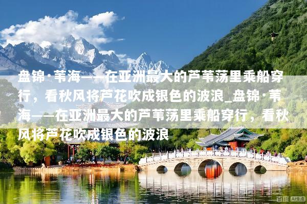盘锦·苇海——在亚洲最大的芦苇荡里乘船穿行，看秋风将芦花吹成银色的波浪_盘锦·苇海——在亚洲最大的芦苇荡里乘船穿行，看秋风将芦花吹成银色的波浪
