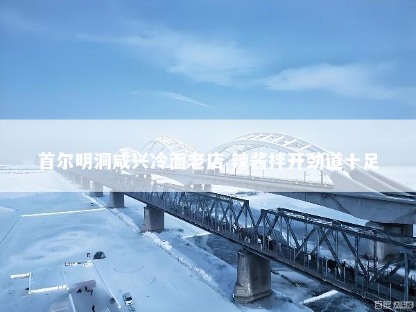 首尔明洞咸兴冷面老店 辣酱拌开劲道十足