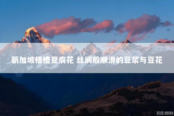 新加坡梧槽豆腐花 丝绸般顺滑的豆浆与豆花