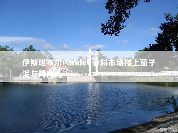 伊斯坦布尔Pandeli香料市场楼上茄子泥与烤肉丸