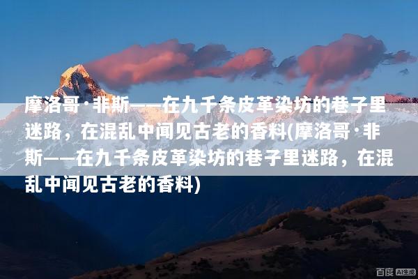 摩洛哥·非斯——在九千条皮革染坊的巷子里迷路，在混乱中闻见古老的香料(摩洛哥·非斯——在九千条皮革染坊的巷子里迷路，在混乱中闻见古老的香料)