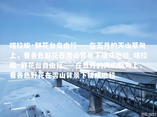 喀拉峻·鲜花台自由行——在五月的天山草甸上，看各色野花在雪山背景下铺成地毯_喀拉峻·鲜花台自由行——在五月的天山草甸上，看各色野花在雪山背景下铺成地毯