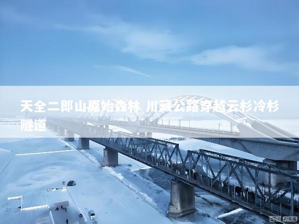 天全二郎山原始森林 川藏公路穿越云杉冷杉隧道