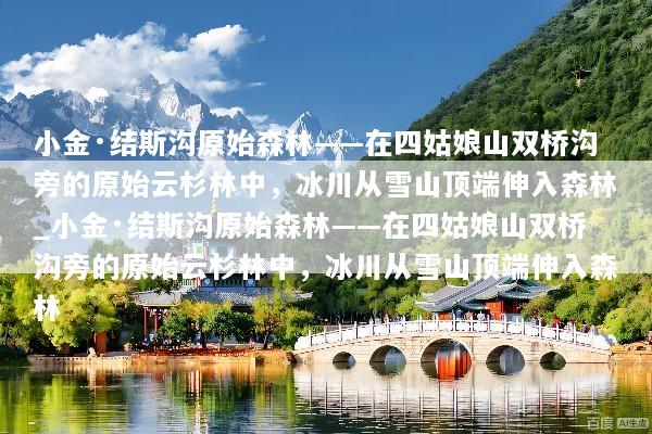 小金·结斯沟原始森林——在四姑娘山双桥沟旁的原始云杉林中，冰川从雪山顶端伸入森林_小金·结斯沟原始森林——在四姑娘山双桥沟旁的原始云杉林中，冰川从雪山顶端伸入森林