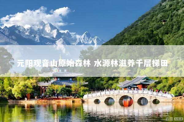元阳观音山原始森林 水源林滋养千层梯田