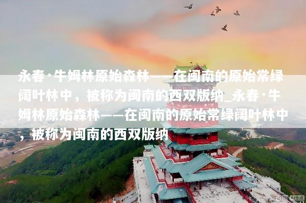 永春·牛姆林原始森林——在闽南的原始常绿阔叶林中，被称为闽南的西双版纳_永春·牛姆林原始森林——在闽南的原始常绿阔叶林中，被称为闽南的西双版纳