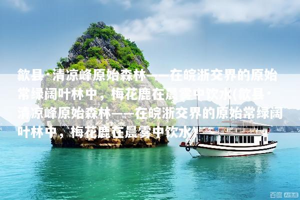 歙县·清凉峰原始森林——在皖浙交界的原始常绿阔叶林中，梅花鹿在晨雾中饮水(歙县·清凉峰原始森林——在皖浙交界的原始常绿阔叶林中，梅花鹿在晨雾中饮水)
