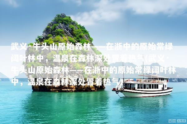 武义·牛头山原始森林——在浙中的原始常绿阔叶林中，温泉在森林深处冒着热气(武义·牛头山原始森林——在浙中的原始常绿阔叶林中，温泉在森林深处冒着热气)