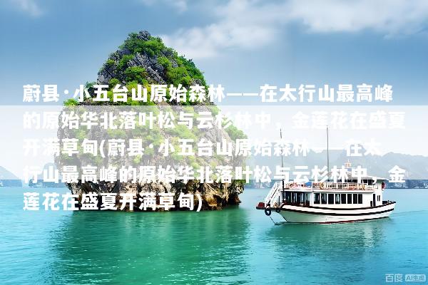 蔚县·小五台山原始森林——在太行山最高峰的原始华北落叶松与云杉林中，金莲花在盛夏开满草甸(蔚县·小五台山原始森林——在太行山最高峰的原始华北落叶松与云杉林中，金莲花在盛夏开满草甸)