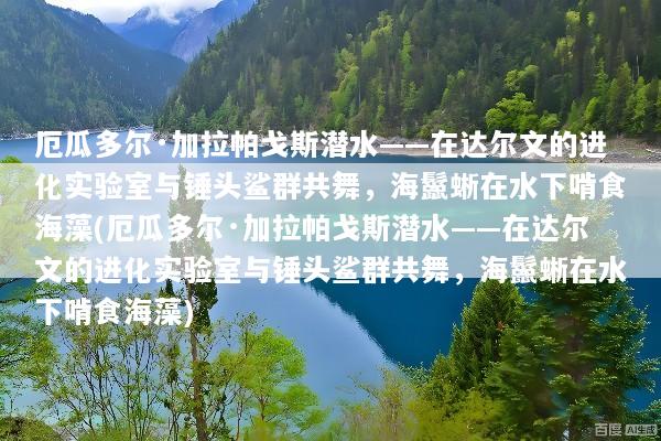 厄瓜多尔·加拉帕戈斯潜水——在达尔文的进化实验室与锤头鲨群共舞，海鬣蜥在水下啃食海藻(厄瓜多尔·加拉帕戈斯潜水——在达尔文的进化实验室与锤头鲨群共舞，海鬣蜥在水下啃食海藻)