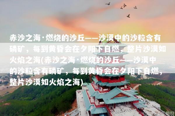 赤沙之海·燃烧的沙丘——沙漠中的沙粒含有磷矿，每到黄昏会在夕阳下自燃，整片沙漠如火焰之海(赤沙之海·燃烧的沙丘——沙漠中的沙粒含有磷矿，每到黄昏会在夕阳下自燃，整片沙漠如火焰之海)
