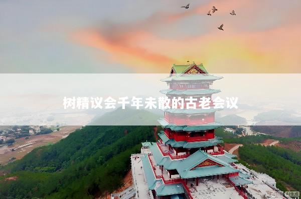 树精议会千年未散的古老会议