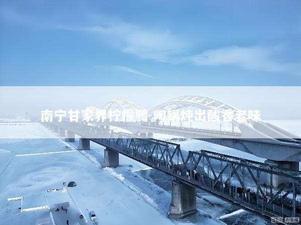 南宁甘家界柠檬鸭 陶锅炖出酸香老味