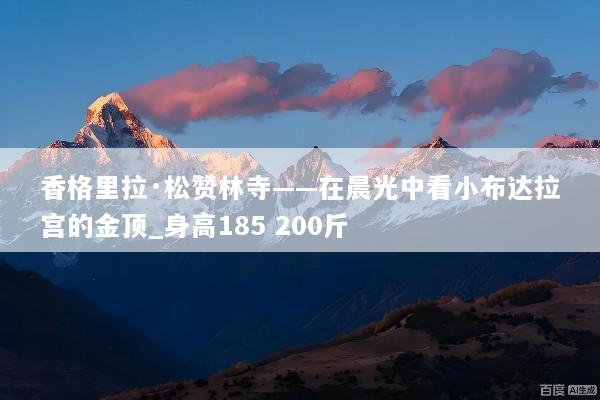 香格里拉·松赞林寺——在晨光中看小布达拉宫的金顶_身高185 200斤